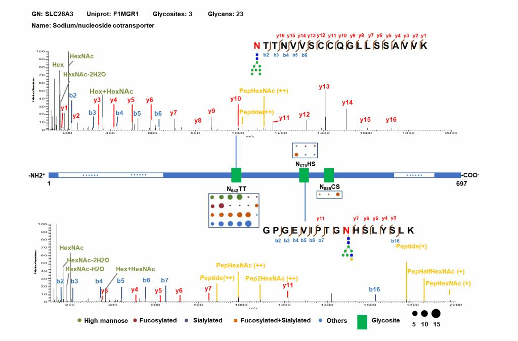 http://biotech.jiangnan.edu.cn/__local/1/06/9C/49D749A79C6D9716851F1332A13_779D2A05_10C80.png