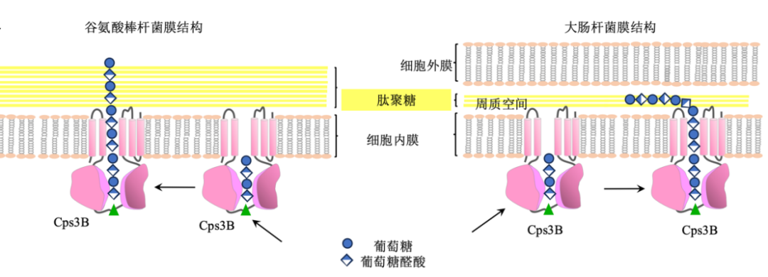 https://mmbiz.qpic.cn/mmbiz_png/USqIdfbibJO6PqBfoZnGBJR1SqS2LKEaFG61o6yBJSgZ98ThB70RCMGBrSibHQbzVMchGjFXMJicM9Ydibaz3fVmxg/640?wx_fmt=png&from=appmsg