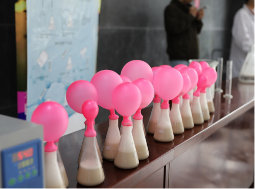http://biotech.jiangnan.edu.cn/__local/8/3B/55/88418A855A21E6B03E6821AFF85_CB3B0E42_38BF3.png