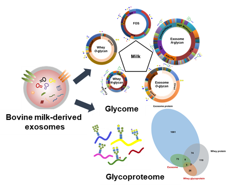 http://biotech.jiangnan.edu.cn/__local/B/A0/3F/824136F212FC2B6FA4805348920_304C616D_46431.png