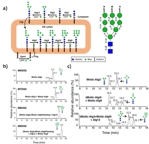 http://biotech.jiangnan.edu.cn/__local/2/A2/63/753F37213CEF2026246B1014DC1_EDE0F168_250B4.png