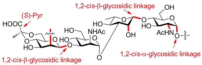 http://biotech.jiangnan.edu.cn/__local/4/58/0C/A04A2F9B95E8664B036D00F89FE_6570F79B_A001.jpg