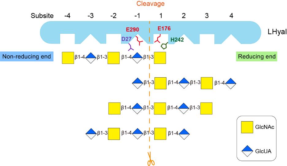 http://biotech.jiangnan.edu.cn/__local/C/7F/3C/EEA8351B7A4F983FD4B9D42BF3D_D20D620D_A19E.jpg